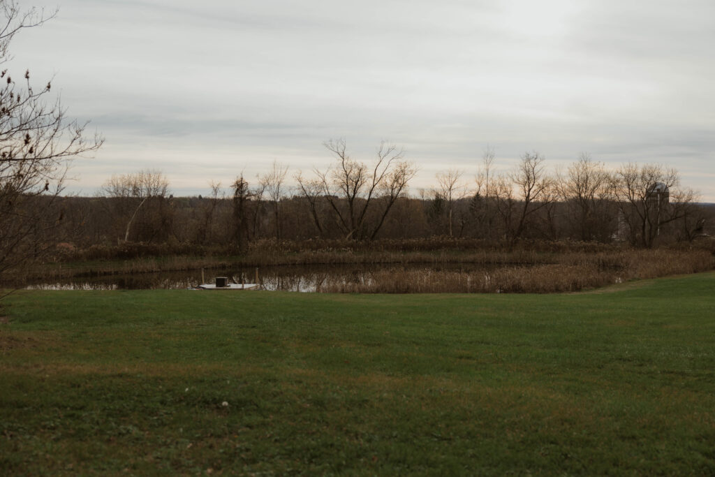 a pond in western new york